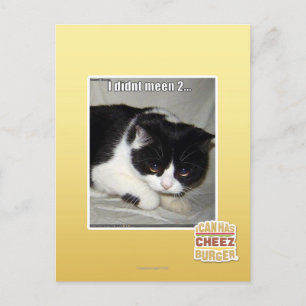 I didn't meen 2 postcard