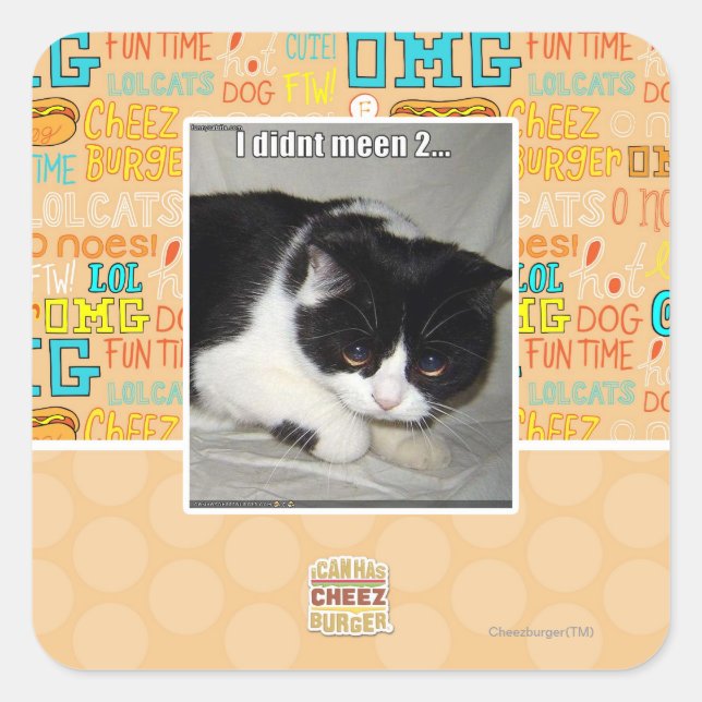 I didn't meen 2 square sticker (Front)