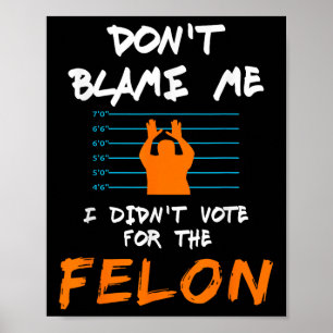 I Didnt Vote For The Felon Funny Political Anti Tr Poster
