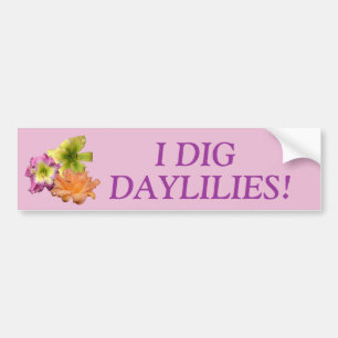 I Dig Daylilies Bumper Sticker