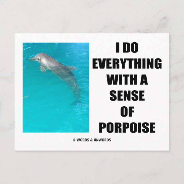 I Do Everything With A Sense Of Porpoise (Purpose) Postcard (Front)