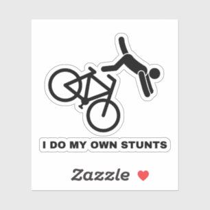 I Do My Own Stunts 