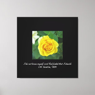 I do not know myself . . . (Goethe) Canvas Print