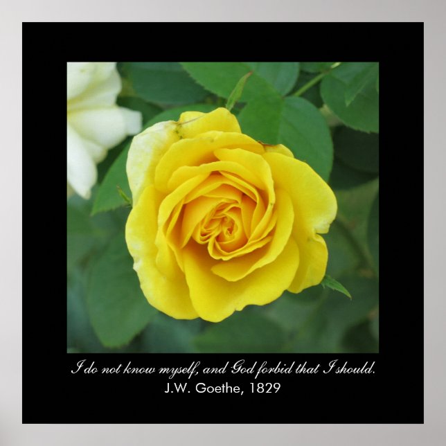 I do not know myself . . . (Goethe) Poster (Front)