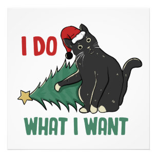 I Do What I Want Christmas Black Cat Holiday Photo Print