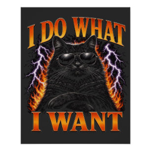 I Do What I Want Cool Black Cat Rebel Poster