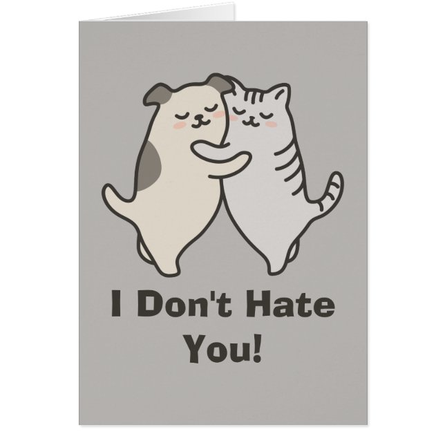 I Don't Hate You! (Front)