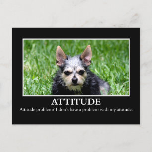 I don't have an attitude problem postcard