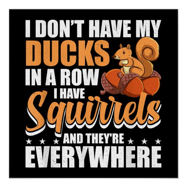I Don't Have My Ducks In A Row I Have Squirrels Sq Poster (Front)