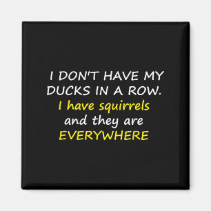 I Don't Have My Ducks In A Row.  Magnet