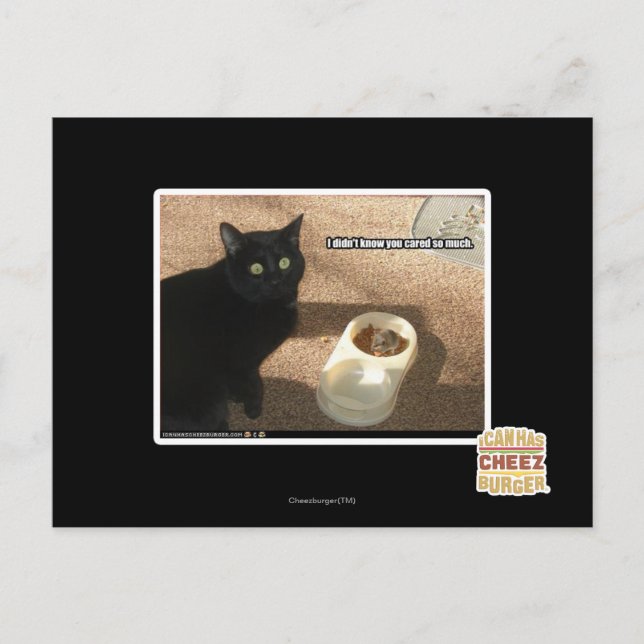 I don't know you cared postcard (Front)