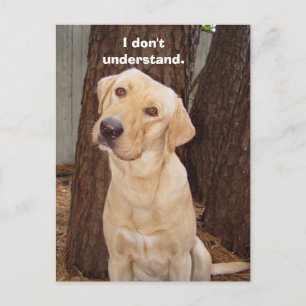 I don't understand. postcard