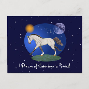I Dream of Connemara Ponies Notecard Postcard