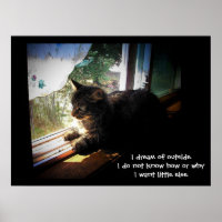 I Dream of Outside haiku