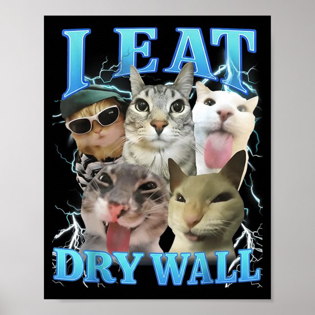 I Eat Dry Wall Funny Cat Meme  Poster (Front)