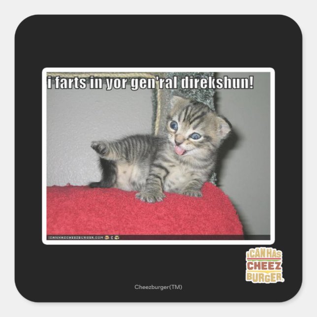 I farts in yor gen'ral direkshun square sticker (Front)