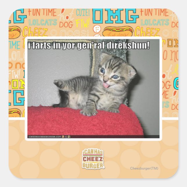 I farts in yor gen'ral direkshun square sticker (Front)