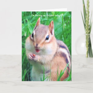I feel Chipper today! Card