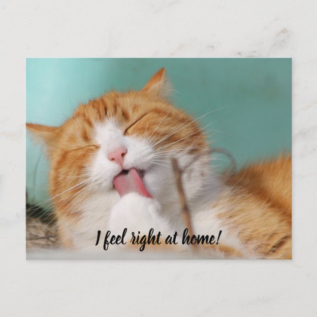 I feel right at home new pet announcement postcard (Front)