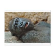 "I feel so sleepy"