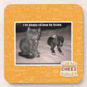 I fix puppy coaster