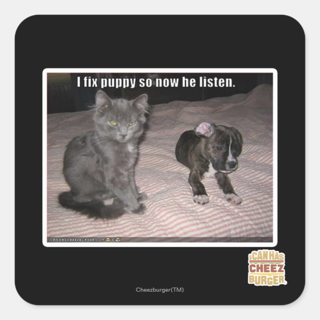 I fix puppy square sticker (Front)