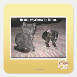 I fix puppy square sticker