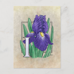 I for Iris Flower Monogram Drawing Postcard