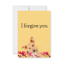 i forgive you flower dog
