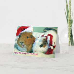 I forgot to hang our stockings! holiday card