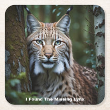 I Found The Missing Lynx Coasters
