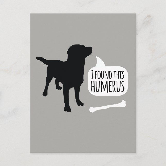 I Found This Humerus Dog with Bone Funny Postcard (Front)