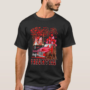 I Found Valentine Two Cute Irish Setters Couple Gn T-Shirt