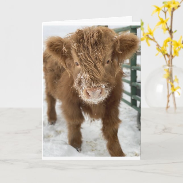 I GIVE A "MOO" FOR YOU ON YOUR "50th BIRTHDAY"   Card (Yellow Flower)