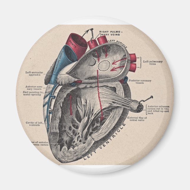 I give you my heart magnet (Front)