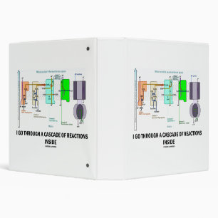 I Go Through A Cascade Of Reactions Inside Binder