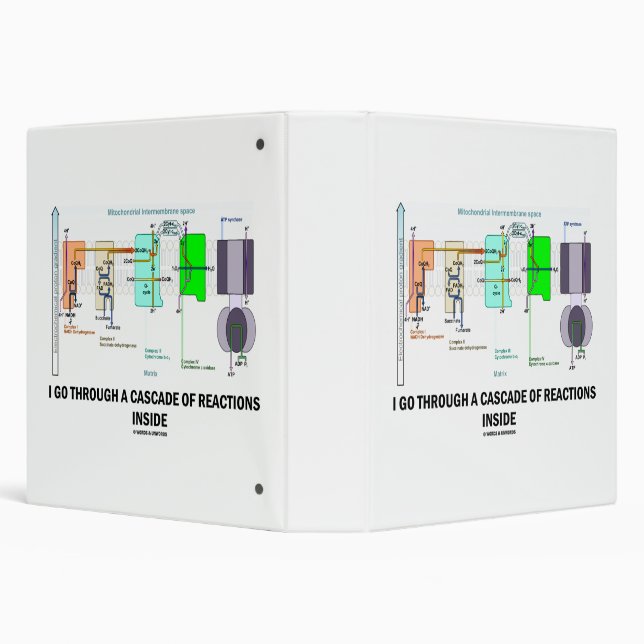 I Go Through A Cascade Of Reactions Inside Binder (Background)