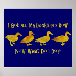 I Got All My Ducks In A Row Poster
