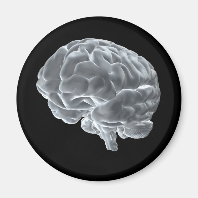 I got brains! magnet (Front)