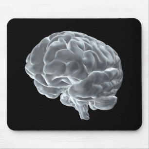 I got brains! mouse pad