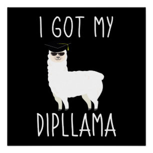 I Got My Dipllama Funny Graduation Llama Pun Gift Poster