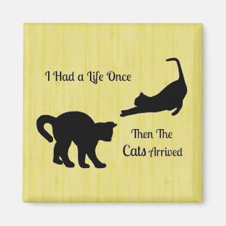 I Had A Life Once Cat Square Magnet