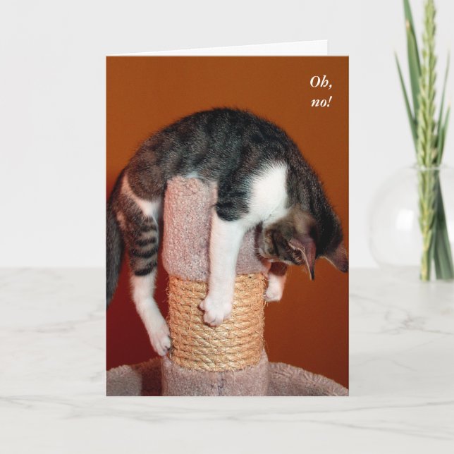 I Hang in There Humourous Cat Support Card (Front)