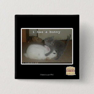 I has a bunny 2 inch square button