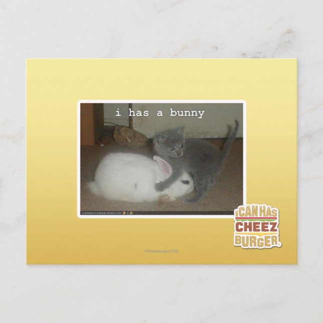 I has a bunny postcard (Front)