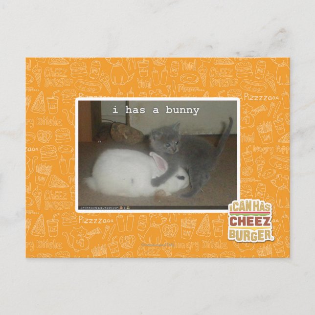 I has a bunny postcard (Front)