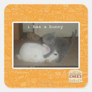 I has a bunny square sticker