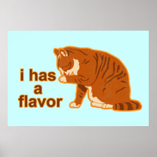 I has a flavour, Lol Cat Poster