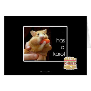 I has a karot