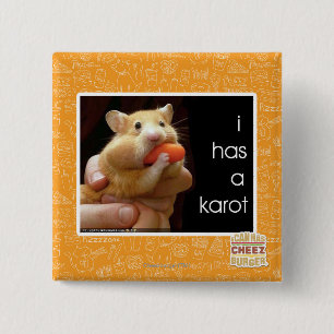 I has a karot 2 inch square button